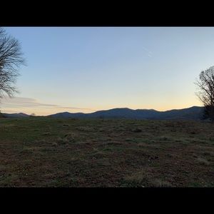 Meet your Posher, Alaina